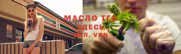 прущие грибы Новозыбков