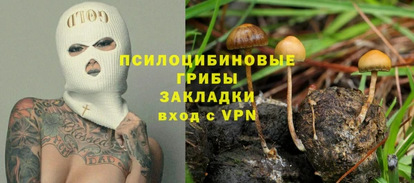 ПСИЛОЦИБИНОВЫЕ ГРИБЫ Аркадак