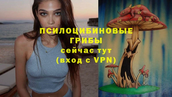 стаф Армянск