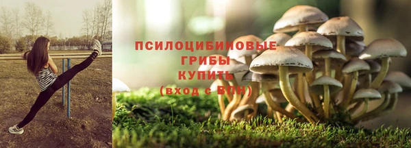 ПСИЛОЦИБИНОВЫЕ ГРИБЫ Аркадак