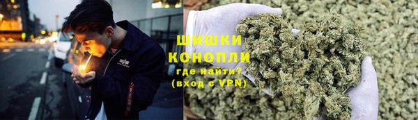 ПСИЛОЦИБИНОВЫЕ ГРИБЫ Аркадак