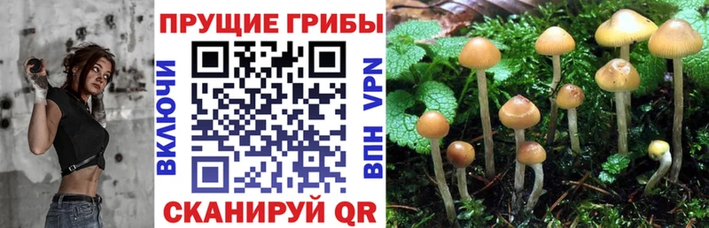 купить закладку  Тетюши  Псилоцибиновые грибы ЛСД 
