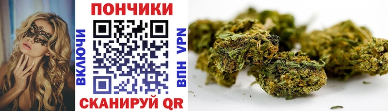 Каннабис OG Kush мега ссылка Тетюши